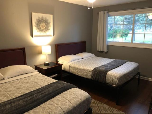 Nightshade Inn & Gardens Camillus エクステリア 写真